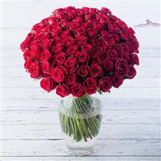Showstopper Bouquet 100 Red Naomi Roses