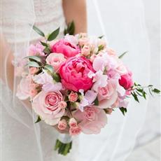 Cute Pink Wedding Collection